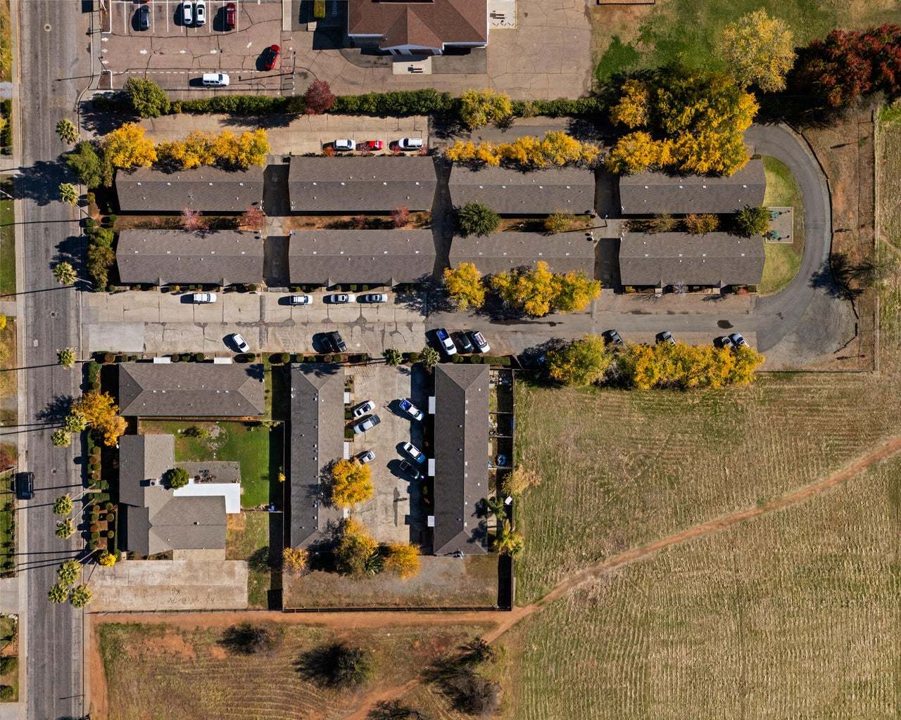 the-grove Image 2