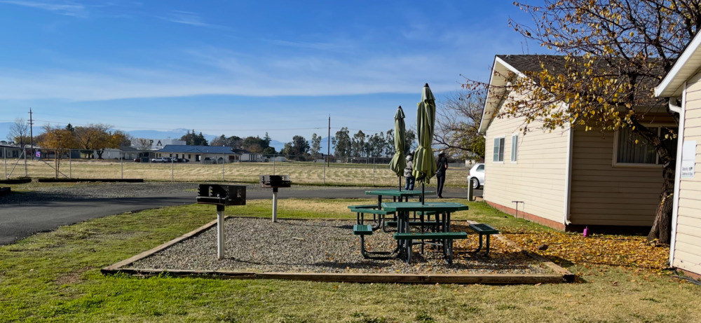 The Grove community